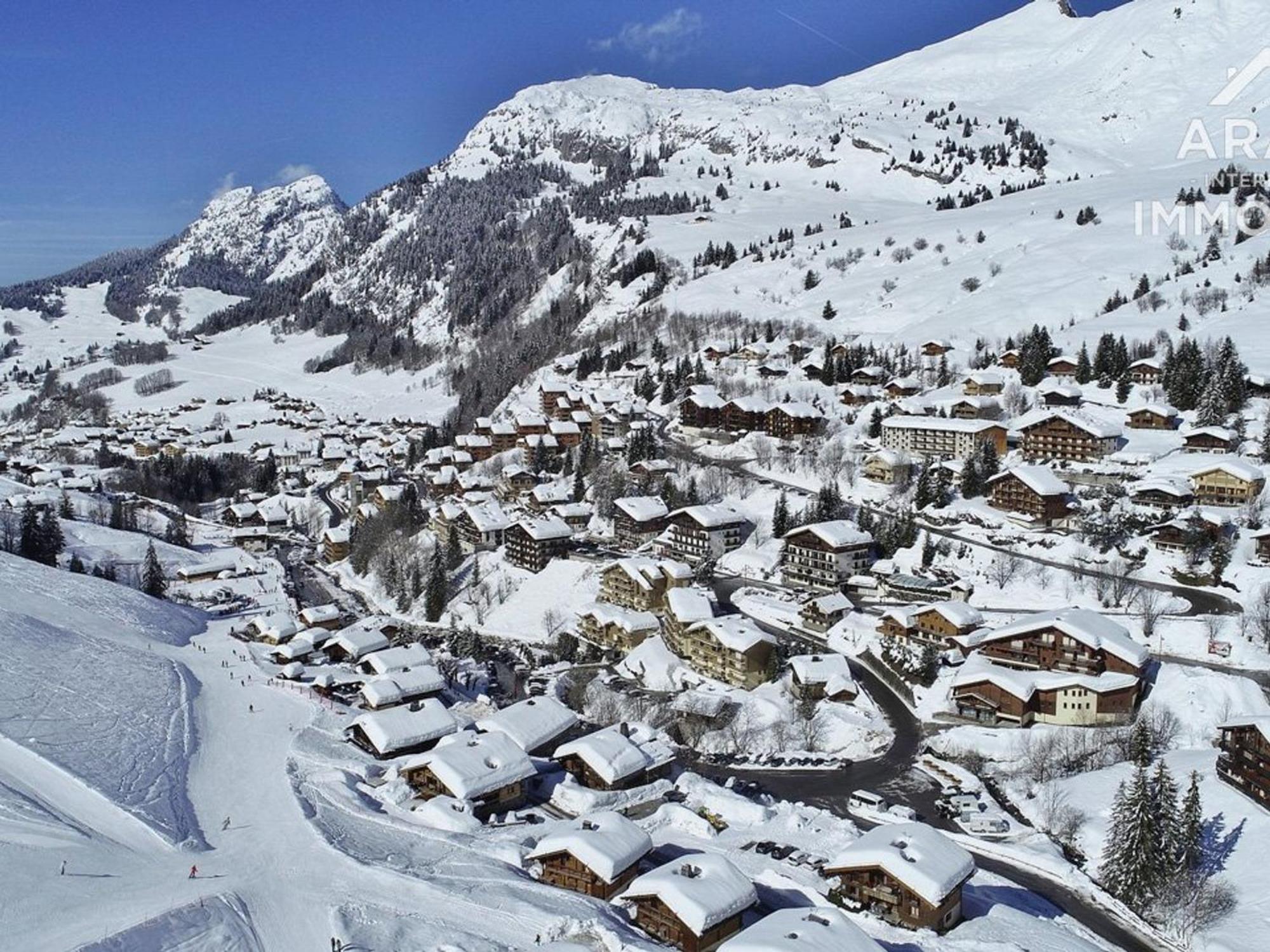 Chalet Independant Spacieux, 18 Pers, 7 Chambres, Wifi, Proche Commerces! - Fr-1-391-29 Ле-Гран-Борнан Экстерьер фото